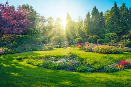 Impression Gartenpflege